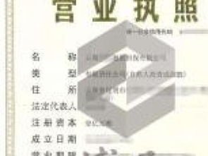 企業(yè)注冊(cè)與法律咨詢(xún)服務(wù)全攻略 深圳執(zhí)照、區(qū)塊鏈執(zhí)照、商業(yè)保理執(zhí)照及重慶法律商務(wù)咨詢(xún)解析